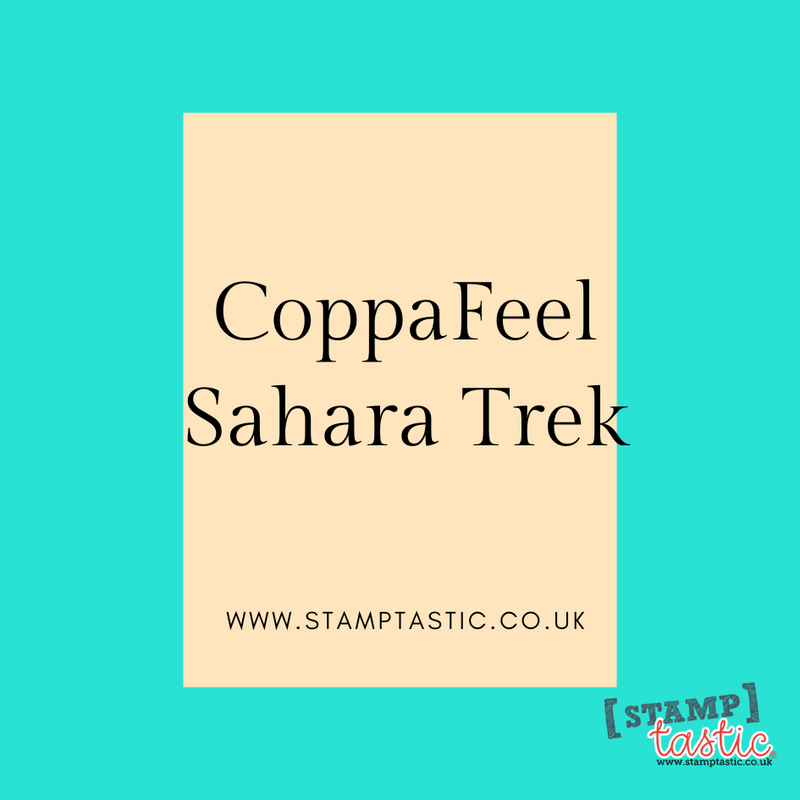 CoppaFeel Sahara Trek