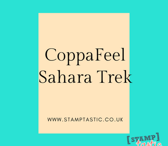 CoppaFeel Sahara Trek