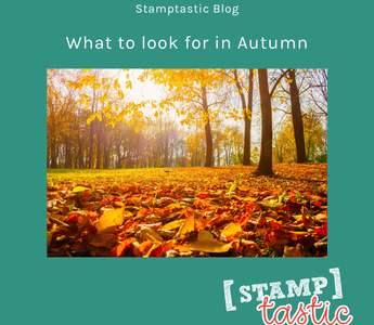 What to look for in Autumn